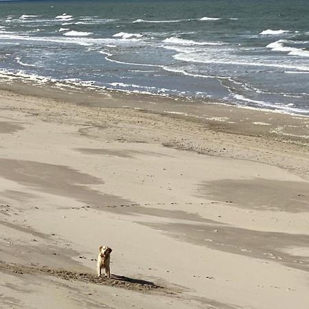 Natur Pur, O4 Neues Ferienhaus Natureingebunden, Familien- Und Hundefreundlich Eingezaeunt Callantsoog Eksteriør bilde