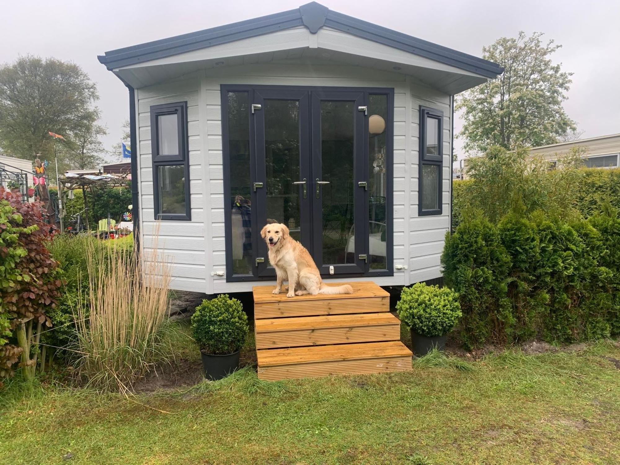 Natur Pur, O4 Neues Ferienhaus Natureingebunden, Familien- Und Hundefreundlich Eingezaeunt Callantsoog Eksteriør bilde